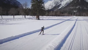 Nordic