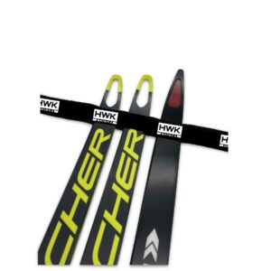 Ski holder for wall mounting